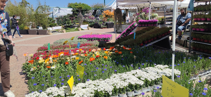 Mostra dei Fiori 